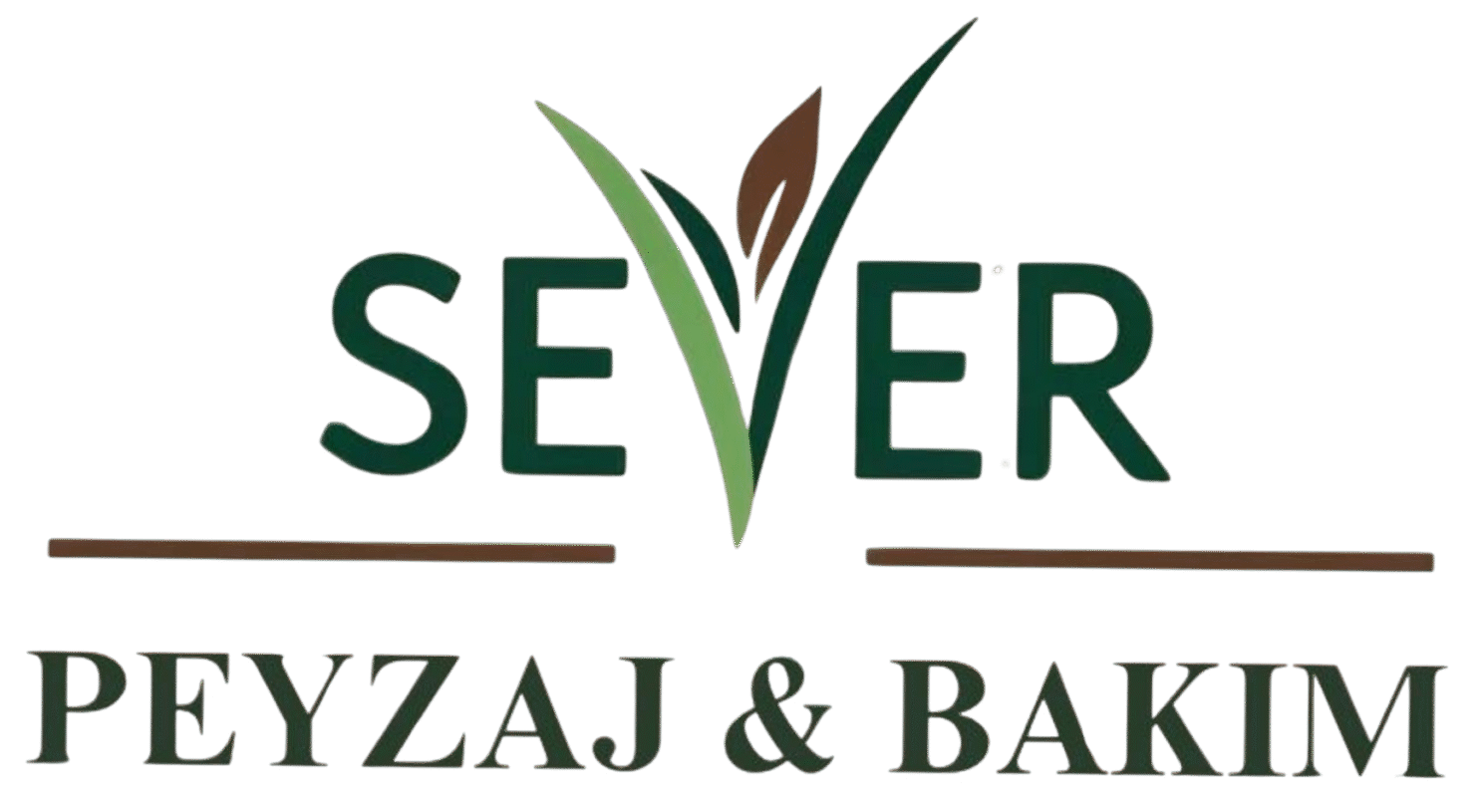 Çiçek Bakım Servisi